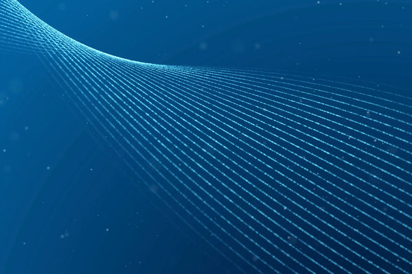 What Is Homeostasis? The Central Organizing Principle of Physiology