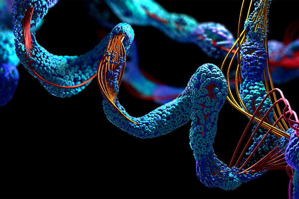 Close-up of colorful protein structure on black background.