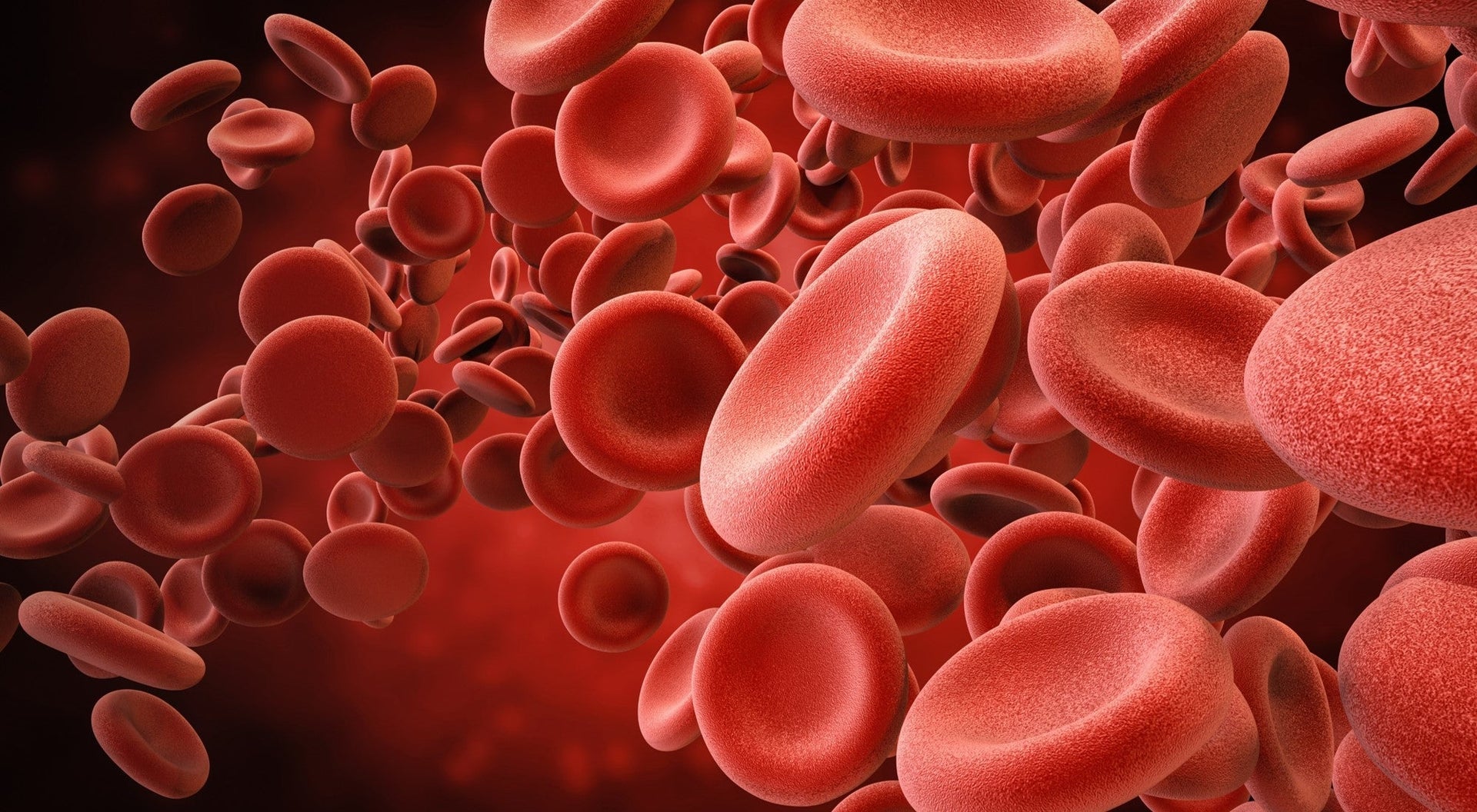 Close-up of red blood cells in bloodstream.